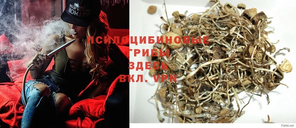 шишки Беломорск