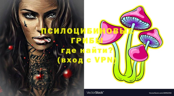шишки Беломорск