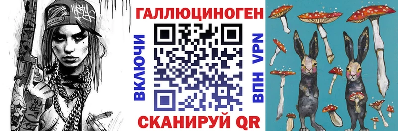 Псилоцибиновые грибы GOLDEN TEACHER  где купить наркоту  Большой Камень 